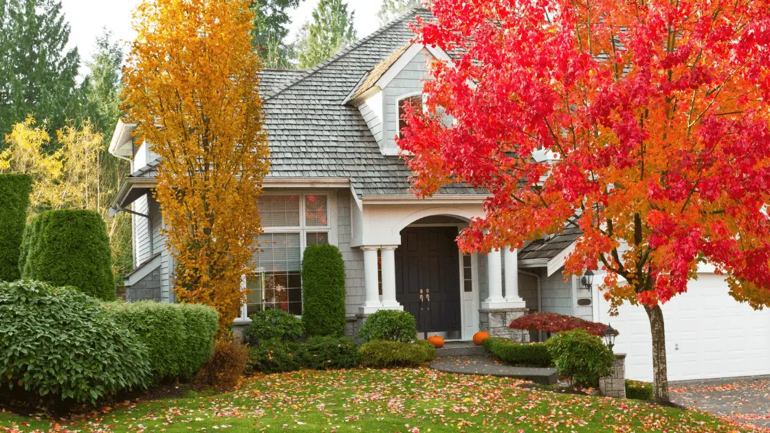 new home in the fall