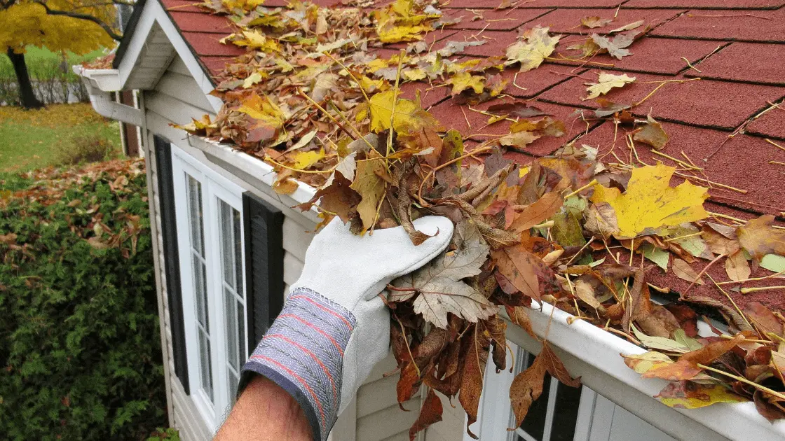 cleaning gutters for home maintenance